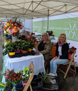 Dia Mundial 2019Mercat solidari.