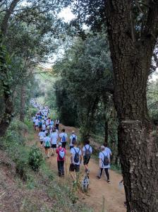 Dia Mundial 2019.XII Caminada Popular